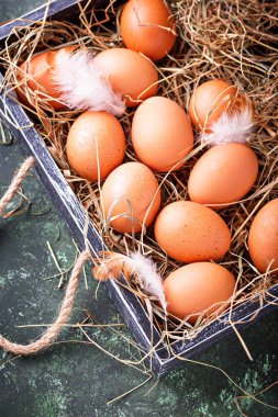 kutusunda çiğ tavuk yumurta