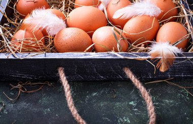 kutusunda çiğ tavuk yumurta