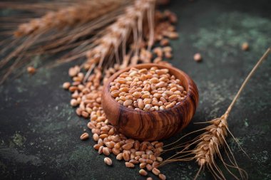 Buğday taneleri ve paslı arka plan üzerinde spikelets.