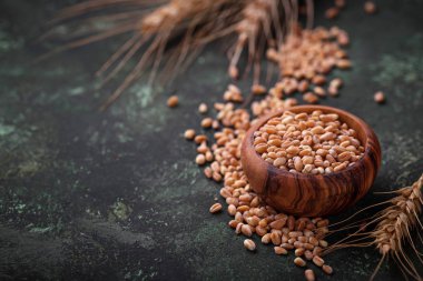 Buğday taneleri ve paslı arka plan üzerinde spikelets.