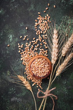 Buğday taneleri ve paslı arka plan üzerinde spikelets.