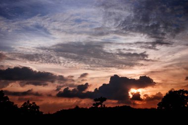 Sri Lanka ağaçta üzerinde güzel gün batımı