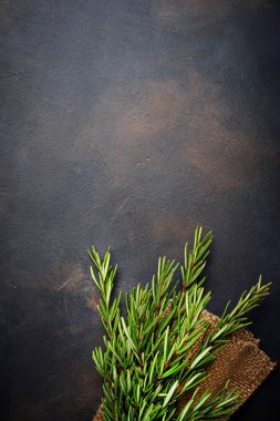 Koyu arka plan üzerinde taze biberiye demet