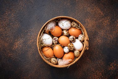 Taze çiğ tavuk ve elek bıldırcın yumurtası