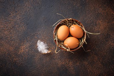 Kase taze çiğ kahverengi yumurta