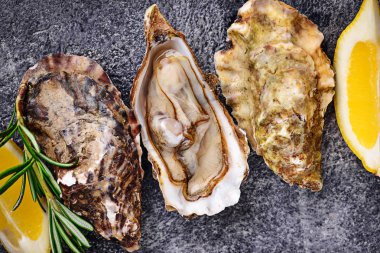 Limon ve biberiye ile taze istiridye