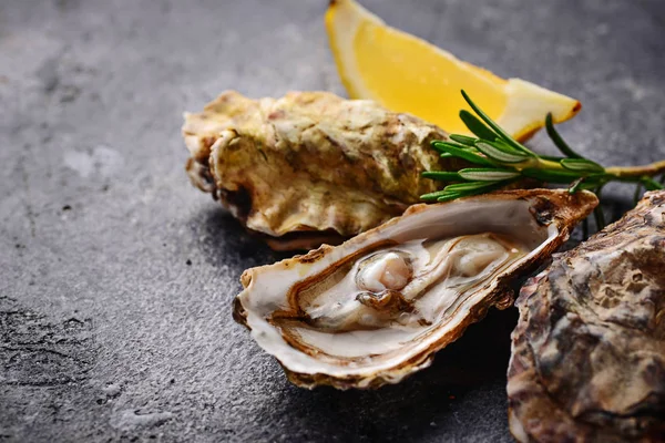 Frische Austern mit Zitrone und Rosmarin — Stockfoto