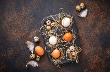 Taze çiğ tavuk ve elek bıldırcın yumurtası