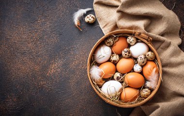 Taze çiğ tavuk ve elek bıldırcın yumurtası