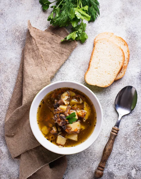Vegetarian  soup with mushroom and vegetable — Stock Photo, Image