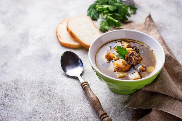 Вегетарианский суп с грибами и овощами — стоковое фото
