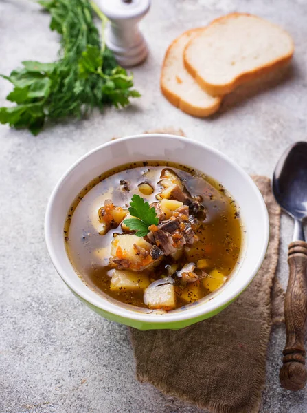 Sup vegetarian dengan jamur dan sayuran — Stok Foto