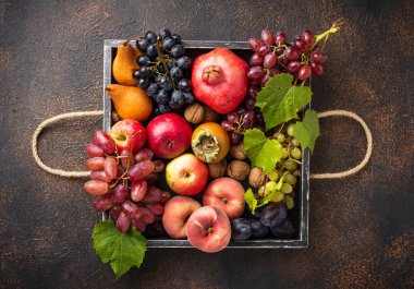 Çeşitli sonbahar meyveleri. Hasat konsepti