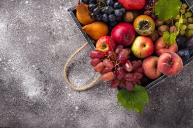 Çeşitli sonbahar meyveleri. Hasat konsepti