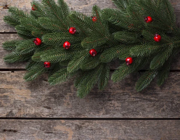 Christmas background with branch of tree — Stock Photo, Image