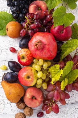 Çeşitli sonbahar meyveleri. Hasat konsepti