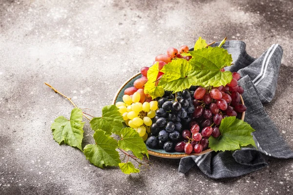 Surtido de diferentes tipos de uvas —  Fotos de Stock