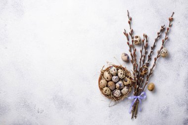 Bıldırcın yumurtası ve Kukum Paskalya arka plan