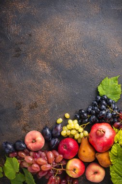 Çeşitli sonbahar meyveleri. Hasat konsepti