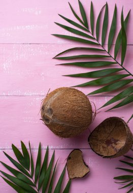 Hindistancevizi ve palmiye yaprakları pembe