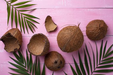 Hindistancevizi ve palmiye yaprakları pembe