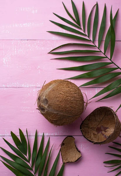 Hindistancevizi ve palmiye yaprakları pembe