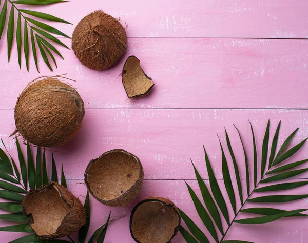Coconuts and palm leaves on pink — 스톡 사진