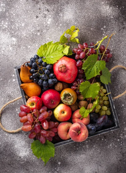 Varias frutas de otoño. Concepto de cosecha —  Fotos de Stock