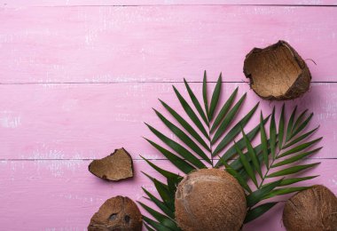 Hindistancevizi ve palmiye yaprakları pembe