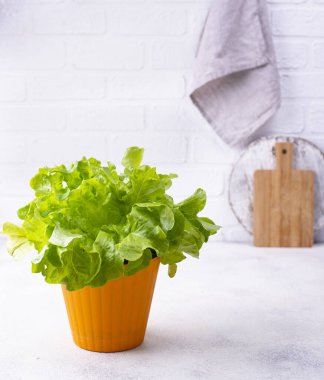 İskandinav tarzında modern mutfak.