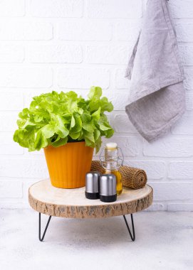 Mutfakta uzay organizasyonu fikri