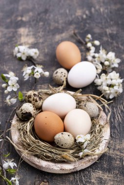 Yumurtalı ve çiçek açan dallı Paskalya kompozisyonu