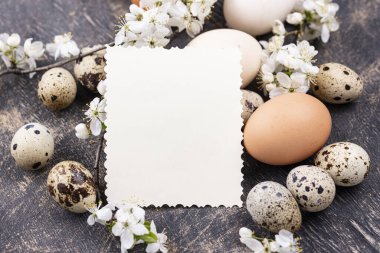 Çiçekli tavuk ve bıldırcın yumurtaları.