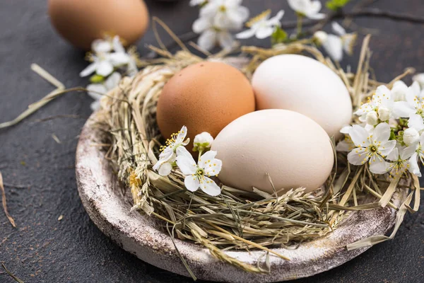 Composition de Pâques avec œufs et branche en fleurs — Photo