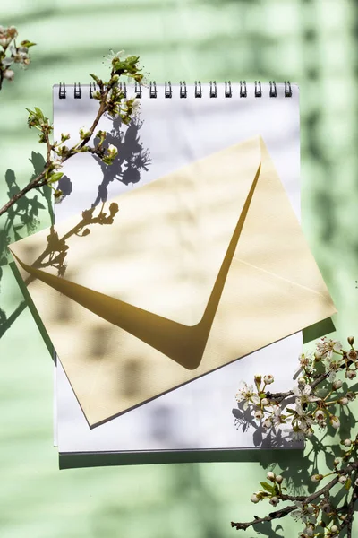 Empty card with shadow of a blooming tree — Stock Photo, Image