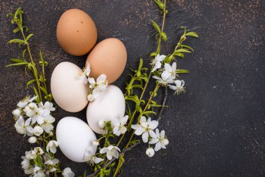 Tavuk yumurtalarının gradyanı aydınlıktan karanlığa