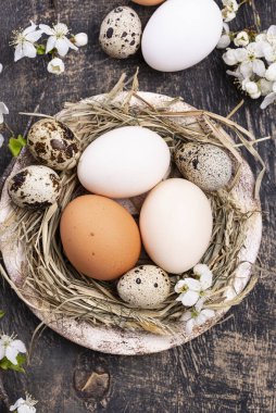 Yumurtalı ve çiçek açan dallı Paskalya kompozisyonu