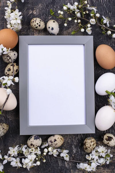 Ovos de galinha e codorniz com ramo florescente — Fotografia de Stock