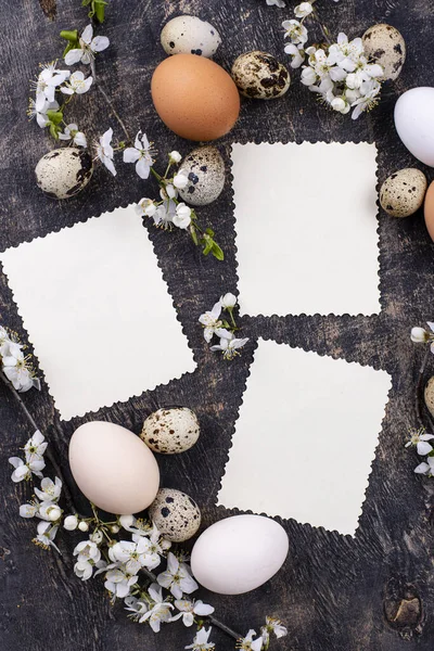 Ovos de galinha e codorniz com ramo florescente — Fotografia de Stock