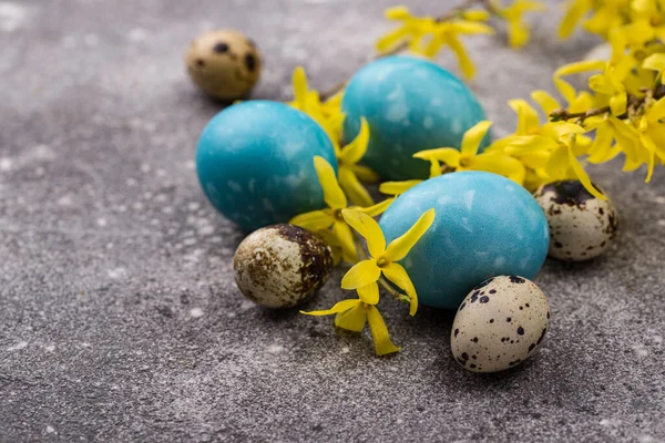 Uova di Pasqua in colore blu — Foto Stock