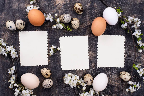 Ovos de galinha e codorniz com ramo florescente — Fotografia de Stock