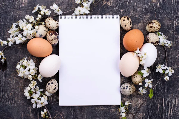Ovos de galinha e codorniz com ramo florescente — Fotografia de Stock