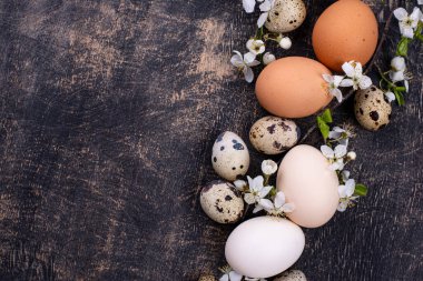 Çiçekli tavuk ve bıldırcın yumurtaları.