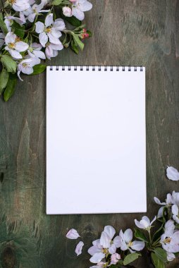 Çiçek açan elma ağacı. Bahar arkaplanı