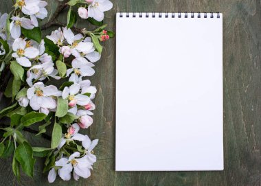 Çiçek açan elma ağacı. Bahar arkaplanı