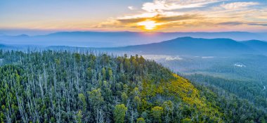 Sunset over mountains and forest in Yarra Ranges National Park clipart