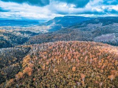 Sonbaharda dağların ve ormanlık tepelerin havadan görünüşü