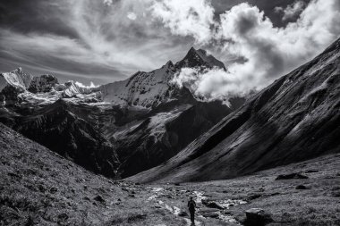 Annapurna Range, Nepal 'deki Kutsal Balık Kuyruklu Atlı (Machhapuchre). Siyah ve beyaz resim.