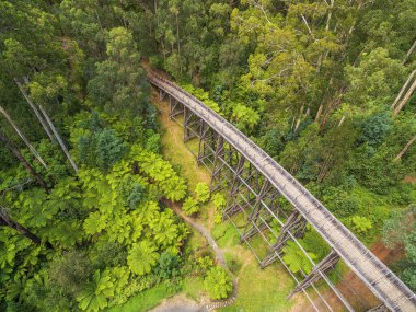 Vintage trestle bridge in Australian forest - aerial view clipart