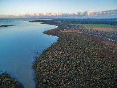 Gün batımında güzel okyanus kıyısında büyüyen mangrov ağaçlarının havadan görünüşü. Melbourne, Avustralya